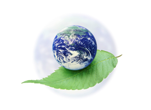 2-3 марта VII Международный форум «Экология»
