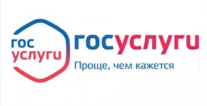 Портал Госуслуг и «Вконтакте» будут доступны даже при нулевом балансе