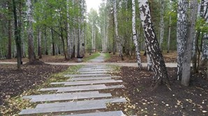 Марат Хуснуллин: В России с 2017 года благоустроено порядка 6 тыс. парков